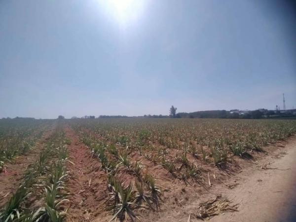 ��ǡᴧ �� goodlada24