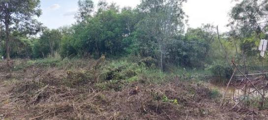 �ѭ���� �� Estate Corner