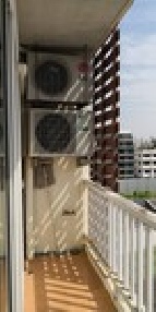 �͹� 36.85 ���ҧ����