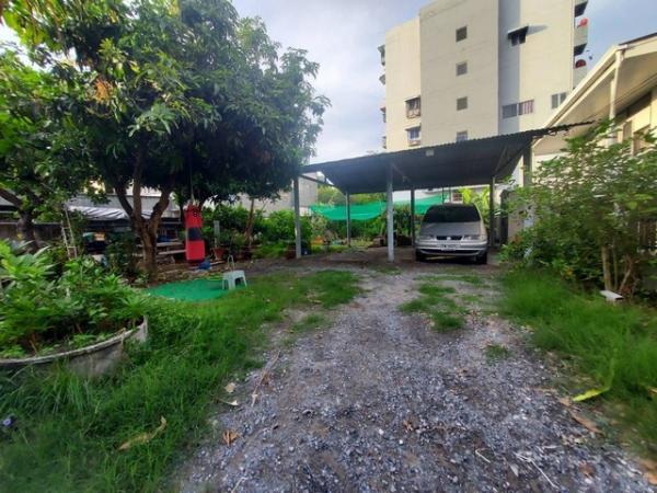 ���Թ Ŵ�Ҥ�