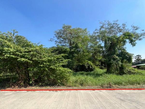 ����ѷ �Ҫѹ�� ��������൷ �ӡѴ