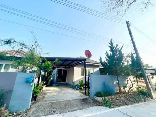 ���ͧ �� onanong khumaphao