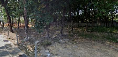 ���� �� incube