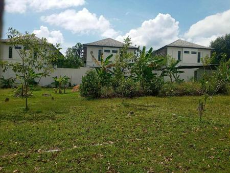 ���� �� incube