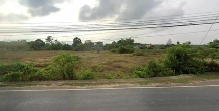 ���ͧ �� incube