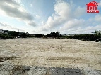 ���Թ��鹷��������ͧ �ҧ���