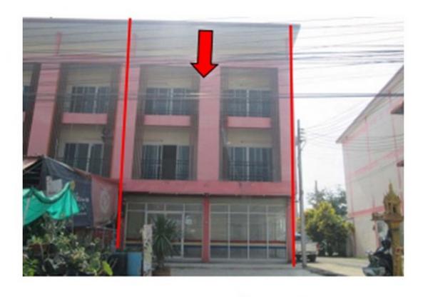 ������ä� �� panaya.opalopal