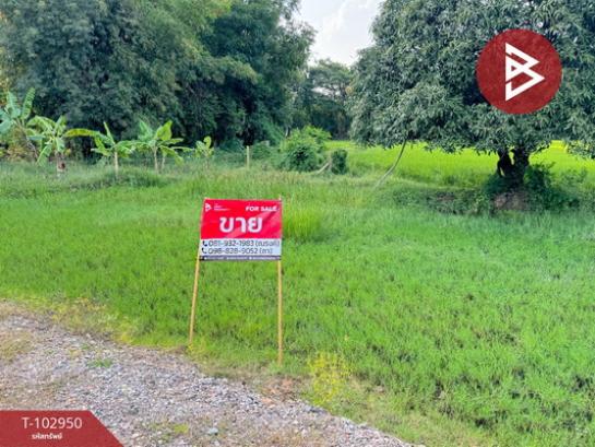 ˹ͧ�͡ �� The Best Property Agent