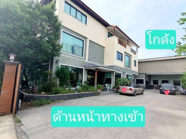 ��¹������ �� 1000property