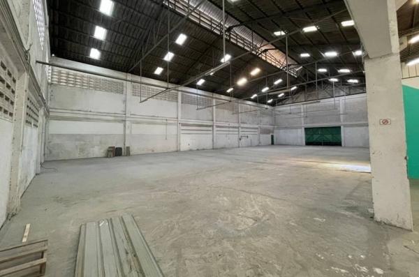 �չ���� �� 1000property