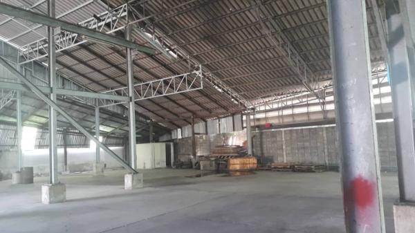 ��л��ᴧ �� 1000property