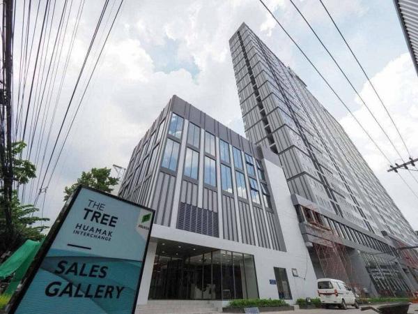 �͹����������ú �ҧ�л�