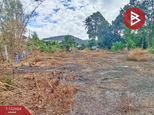 ����Ҫ� �� The Best Property Agent