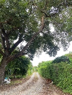 ���Թ ����Ҫ�