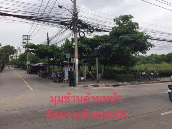 �ҧ�� �� Anutta thongdet