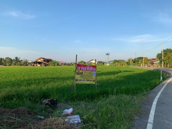 ˹ͧ�͡ �� zionasset1