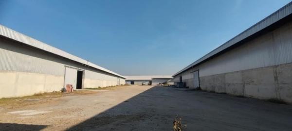 ⡴ѧ �ҭ������