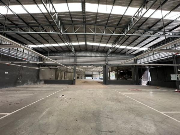 ⡴ѧ������ �����ա�ا෾