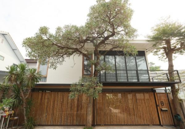 ��ҹ�Ҵ����� �� Nan