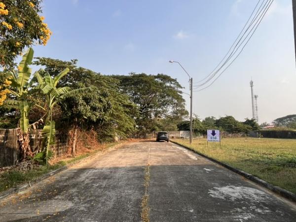 ���Թ Ŵ�Ҥ�