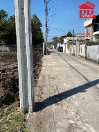 ������ ���Թ �͹���ͧ ��ا෾