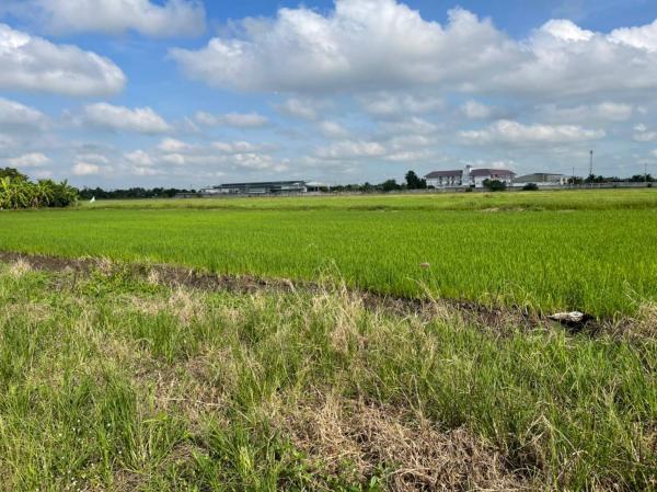 ���١�� �� Anutta thongdet