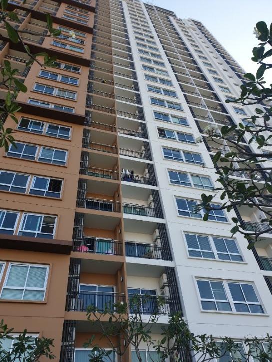 �Ң�ѭ �Ź�����