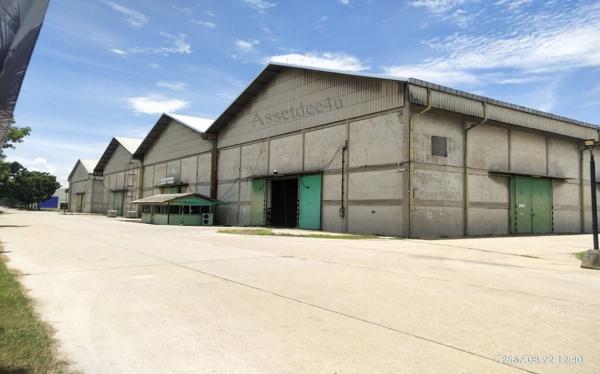 ���ͧ �� AssetD4U