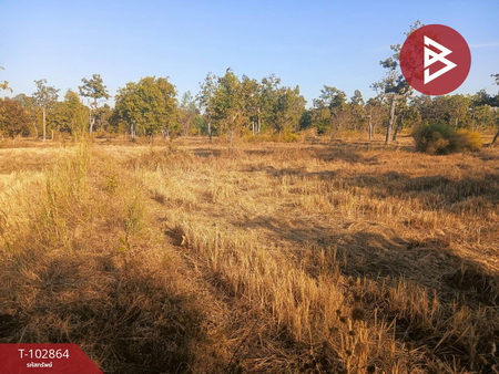 �ӹҨ��ԭ �� The Best Property Agent