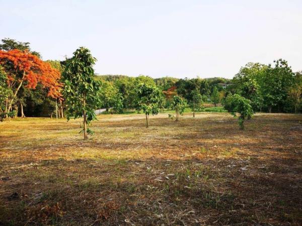 �ҧ�� �� northern1