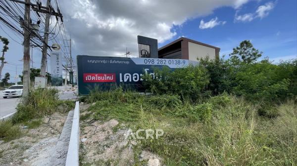 ���Թ�Ԥ��ص��ˡ��� ���ͧ