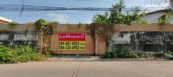 ��ا෾ �� zionasset1