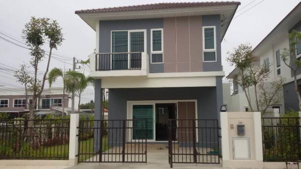 �Ң�ѭ �Ź�����