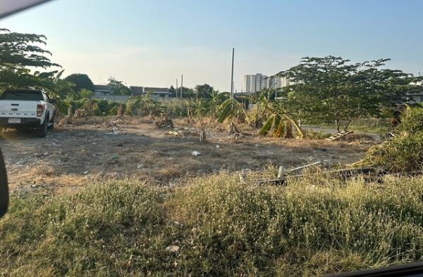 ������ �� zionasset1