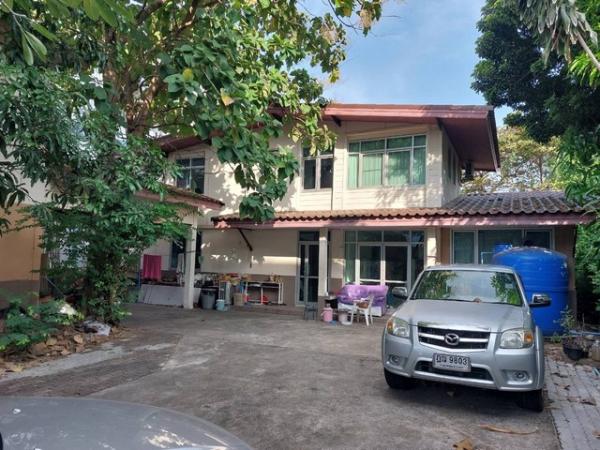 �ҧ�л� �� zionasset1