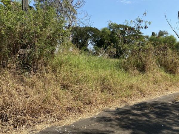 �ҧ�� �� Noname2023