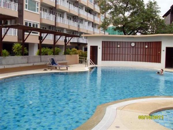 �Ң�ѭ �Ź�����