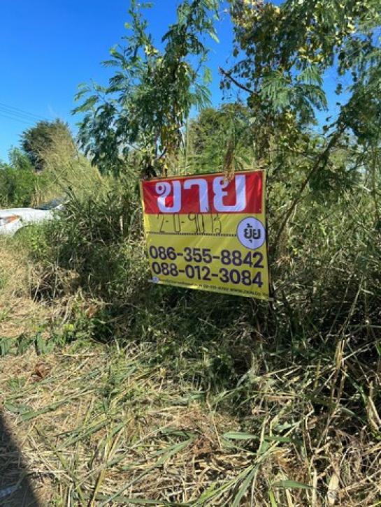 ��بѡ� �� zionasset1