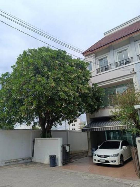 �оҹ�٧ �� coasset22