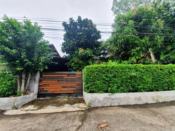 �ҧ�� �� �Ң�ѭ �Ź�����