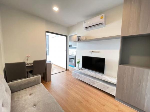 �͹������� ˹ͧ�͡