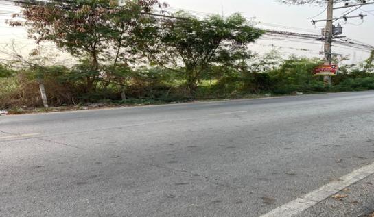 ���Թ Ŵ�Ҥ�