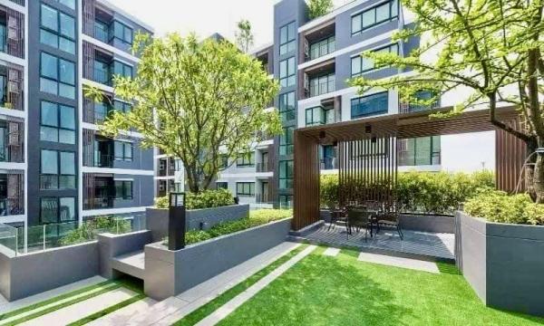 �͹���ͧ��� ������