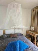 �����Ҥ͹� �Ⱥ�����ͧ�ҡ��� �������