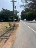 ���Թ ���ͧ