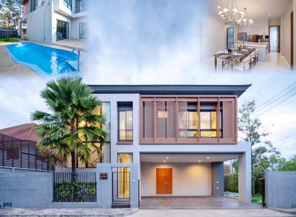 �Ӿٹ �� nut.allentrepreneur