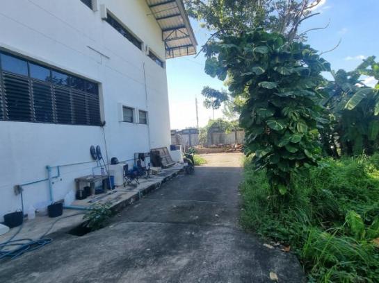 ������ �� joy namfon2