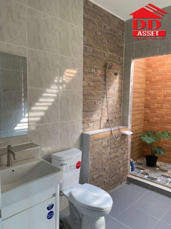 ��ҹ������ ������ä�