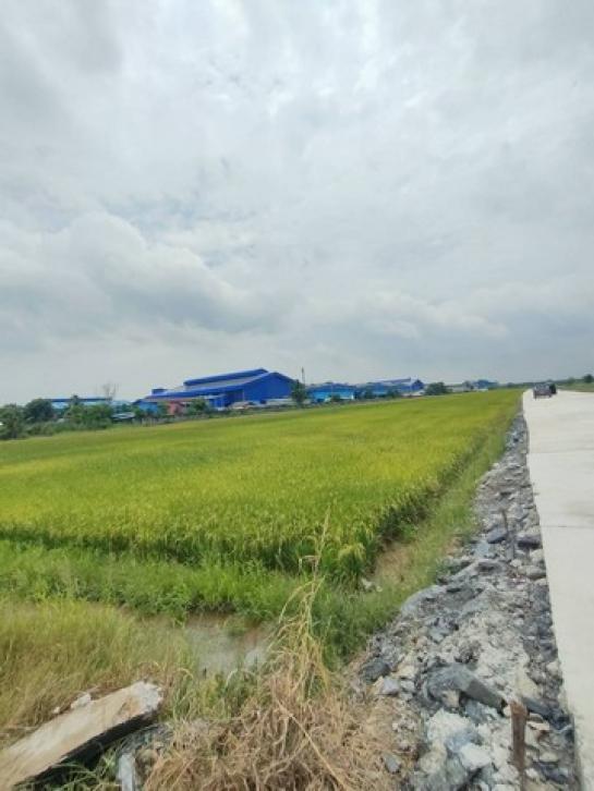 ��ͧ��ǧ �� coasset22