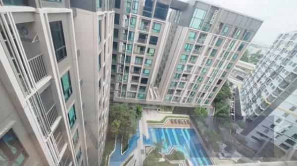 ¤Í¹â´35 45 5,490,000 ºÒ· ¤Í¹â´35 45 5,490,000 ºÒ·